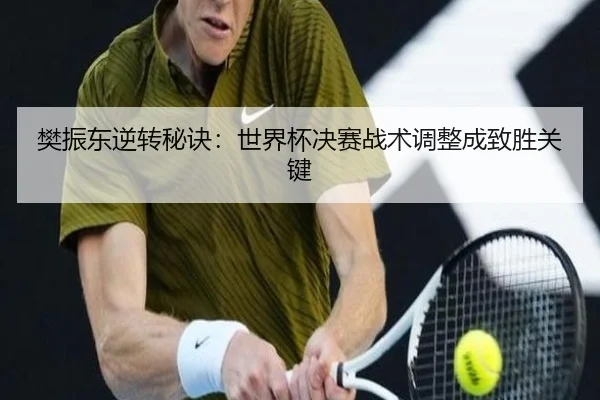 樊振东逆转秘诀：世界杯决赛战术调整成致胜关键