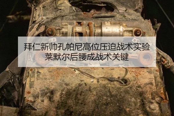 bai-ren-xin-shuai-kong-pa-ni-gao-wei-ya-po-zhan-shu-shi-yan-lai-mo-er-hou-yao-cheng-zhan-shu-guan-jian-2-966.jpg